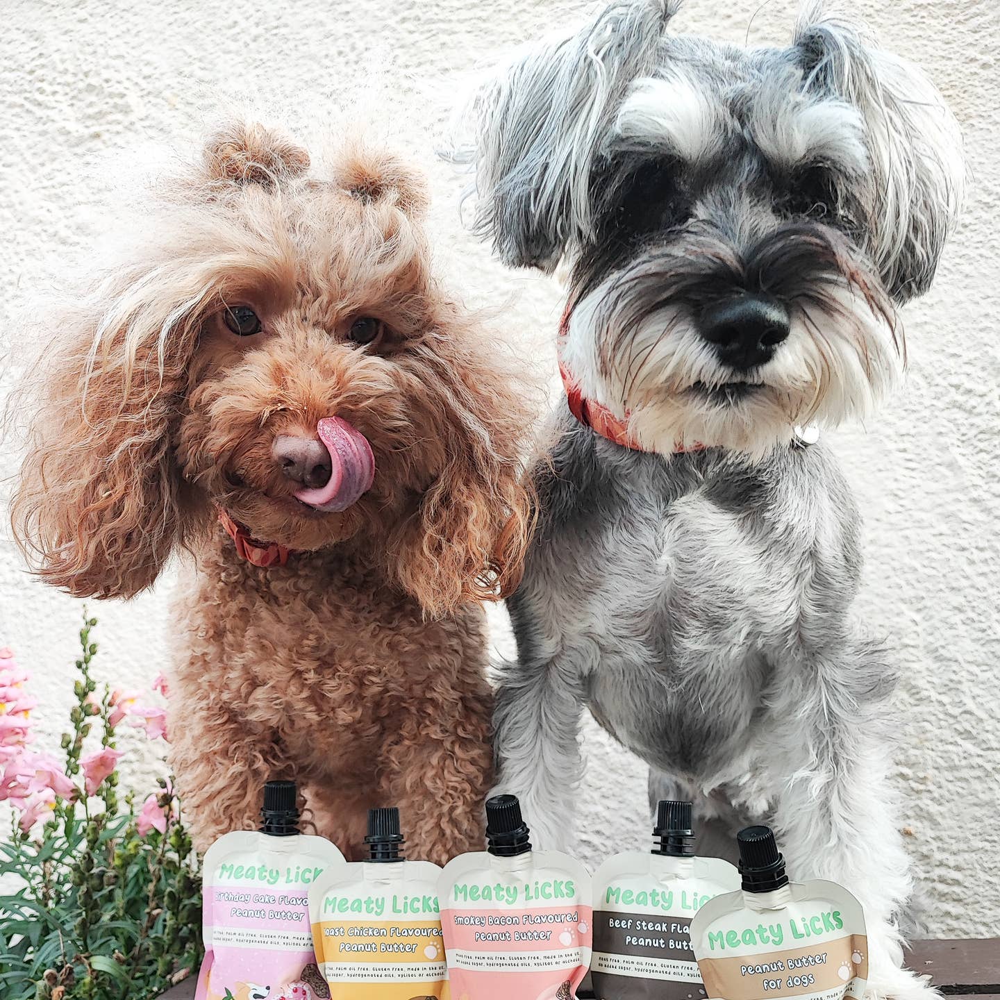 Peanut Butter Pouch For Dogs 113g 4oz