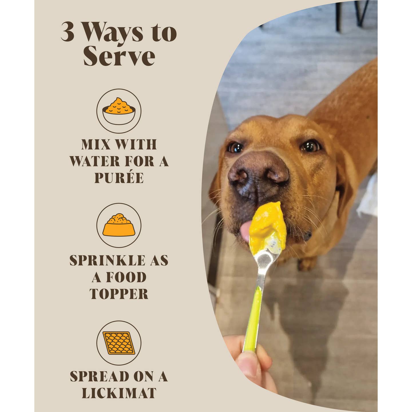 Pre & Probiotics For Dogs | Real Pumpkin Powder + Probiotic