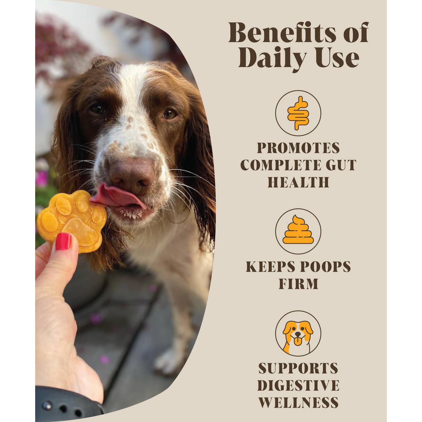 Pre & Probiotics For Dogs | Real Pumpkin Powder + Probiotic
