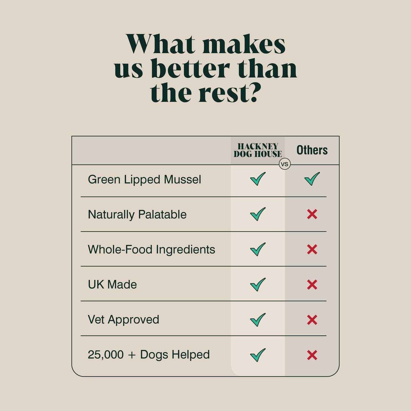 Green Lipped Mussel Powder For Dogs | 80 Servings