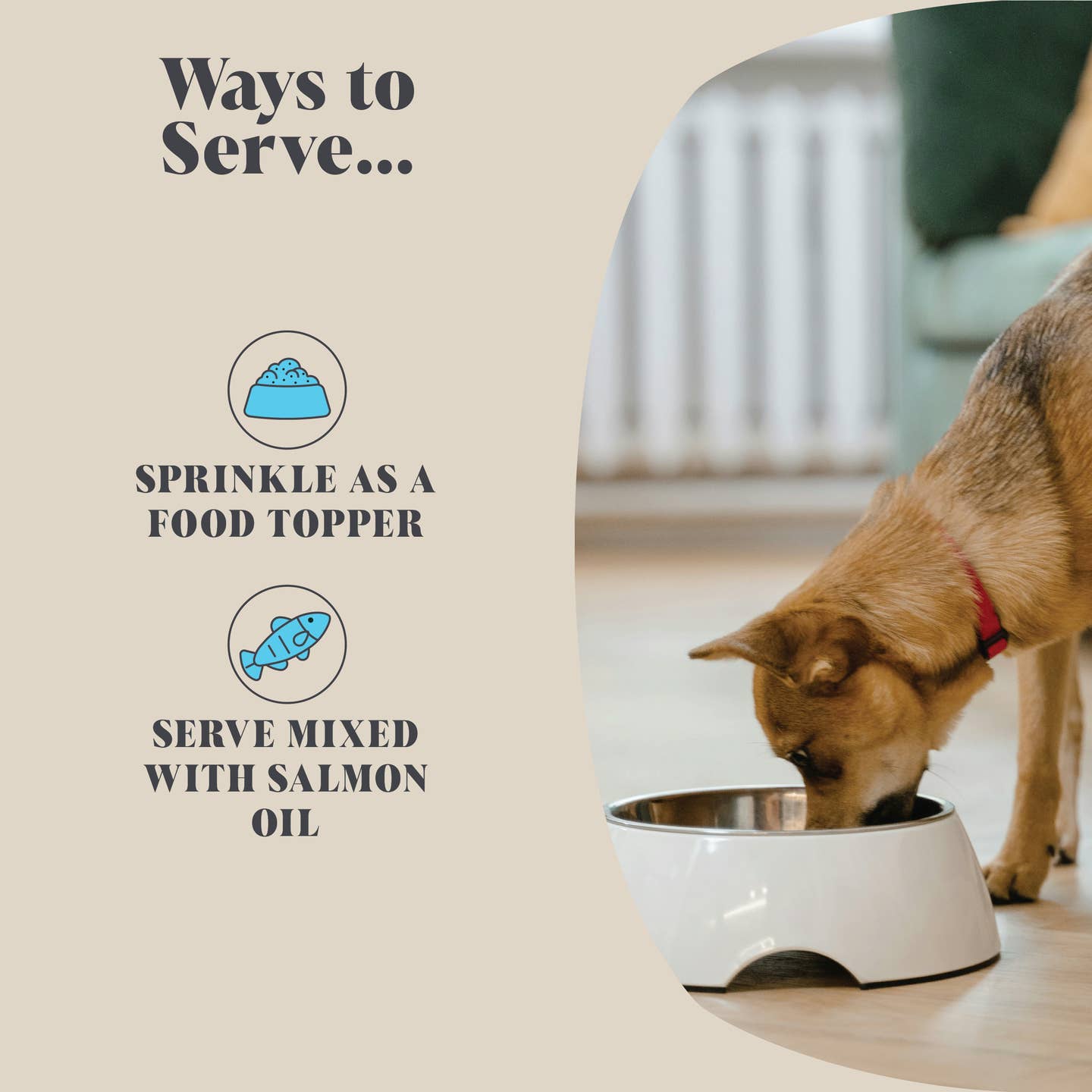 Single Pack | Plaque Seaweed Powder For Dogs | 80 Servings |