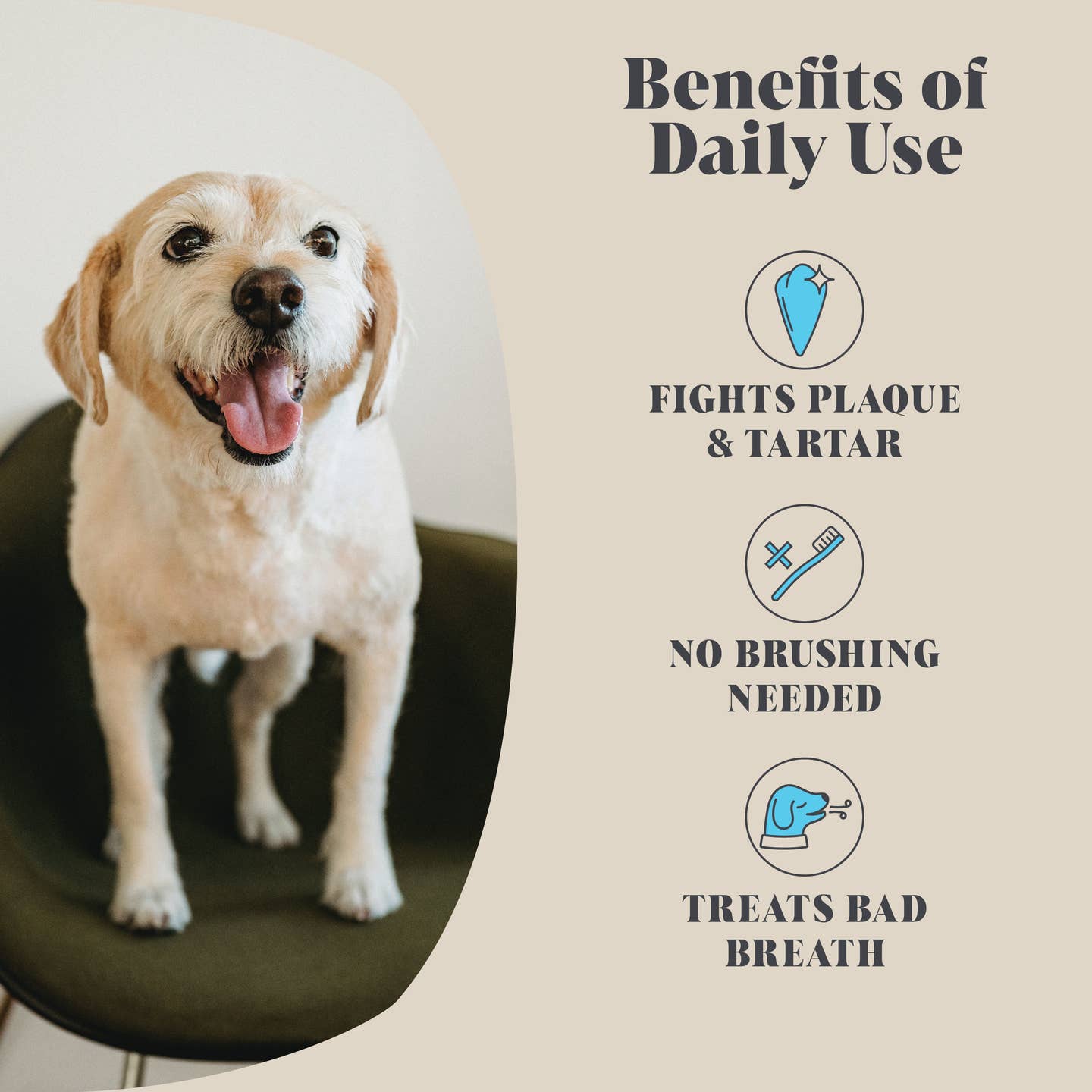 Single Pack | Plaque Seaweed Powder For Dogs | 80 Servings |
