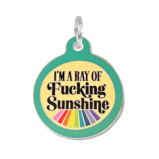 Funny Dog Id Tag with Personalized Qr - Ray of Sunshine