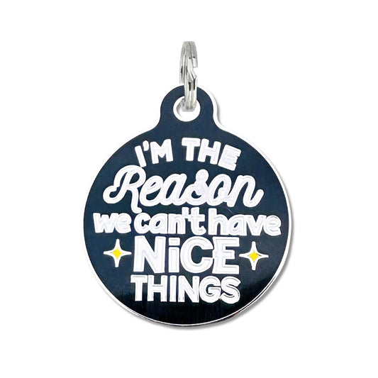 Personalized Dog Id Tag Charm - Can't Have Nice Things